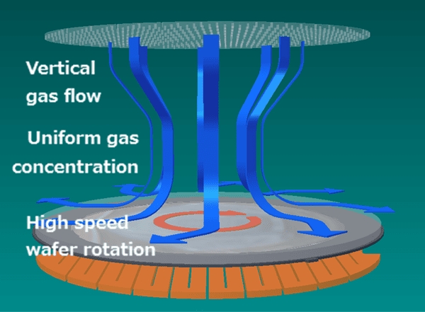 Structural layers in a SiC epitaxial chamber