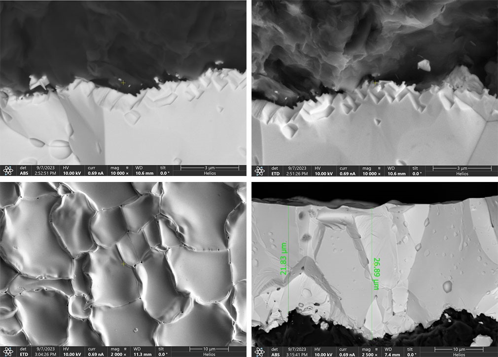 Tantalum carbide TaC coating on a microscopic cross-section